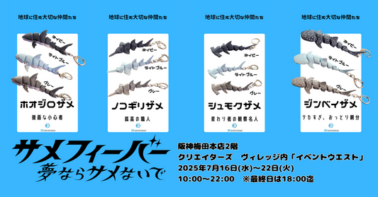 サメフィーバー