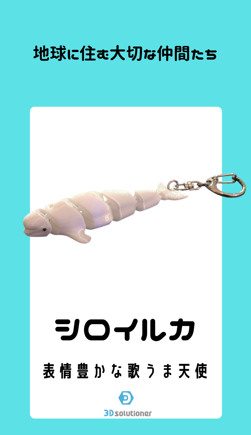 海に住む仲間たち