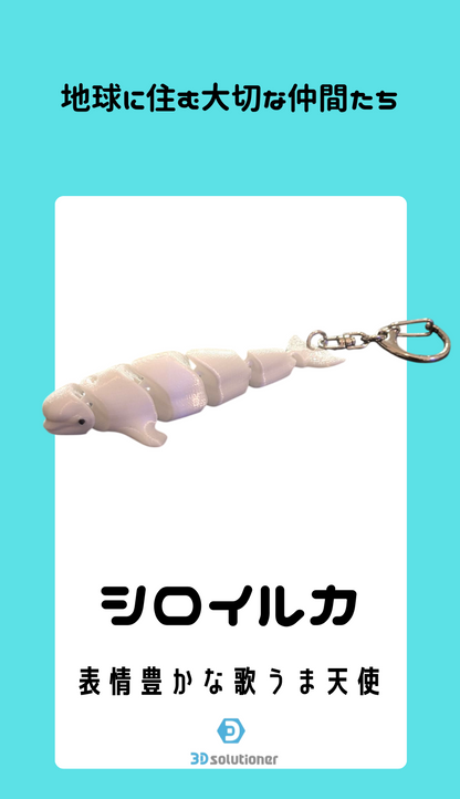 海に住む仲間たち