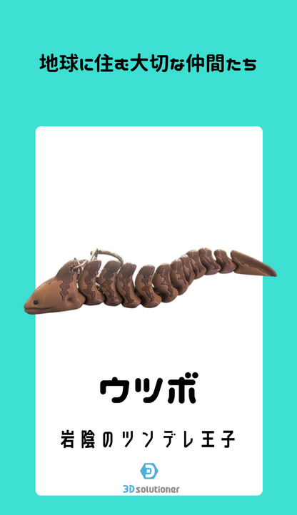 海に住む仲間たち