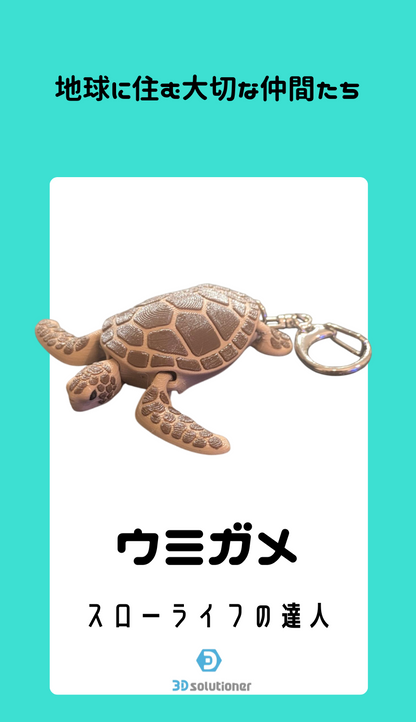 海に住む仲間たち