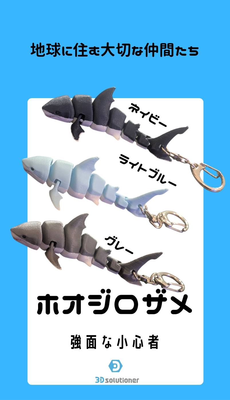 海に住む仲間たち