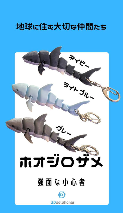 海に住む仲間たち