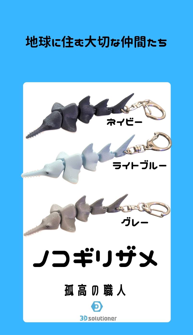 海に住む仲間たち