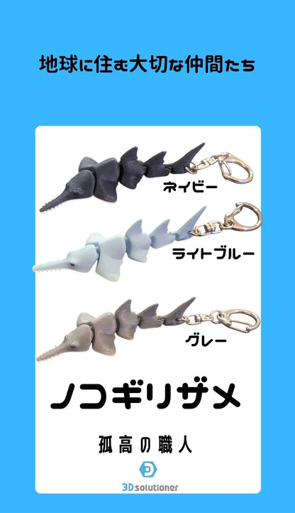 海に住む仲間たち