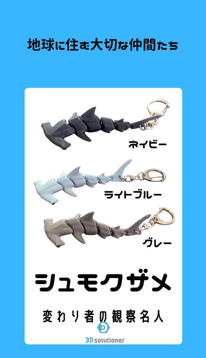 海に住む仲間たち