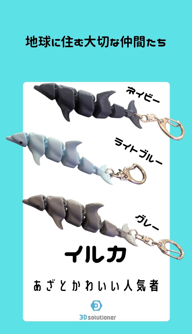 海に住む仲間たち