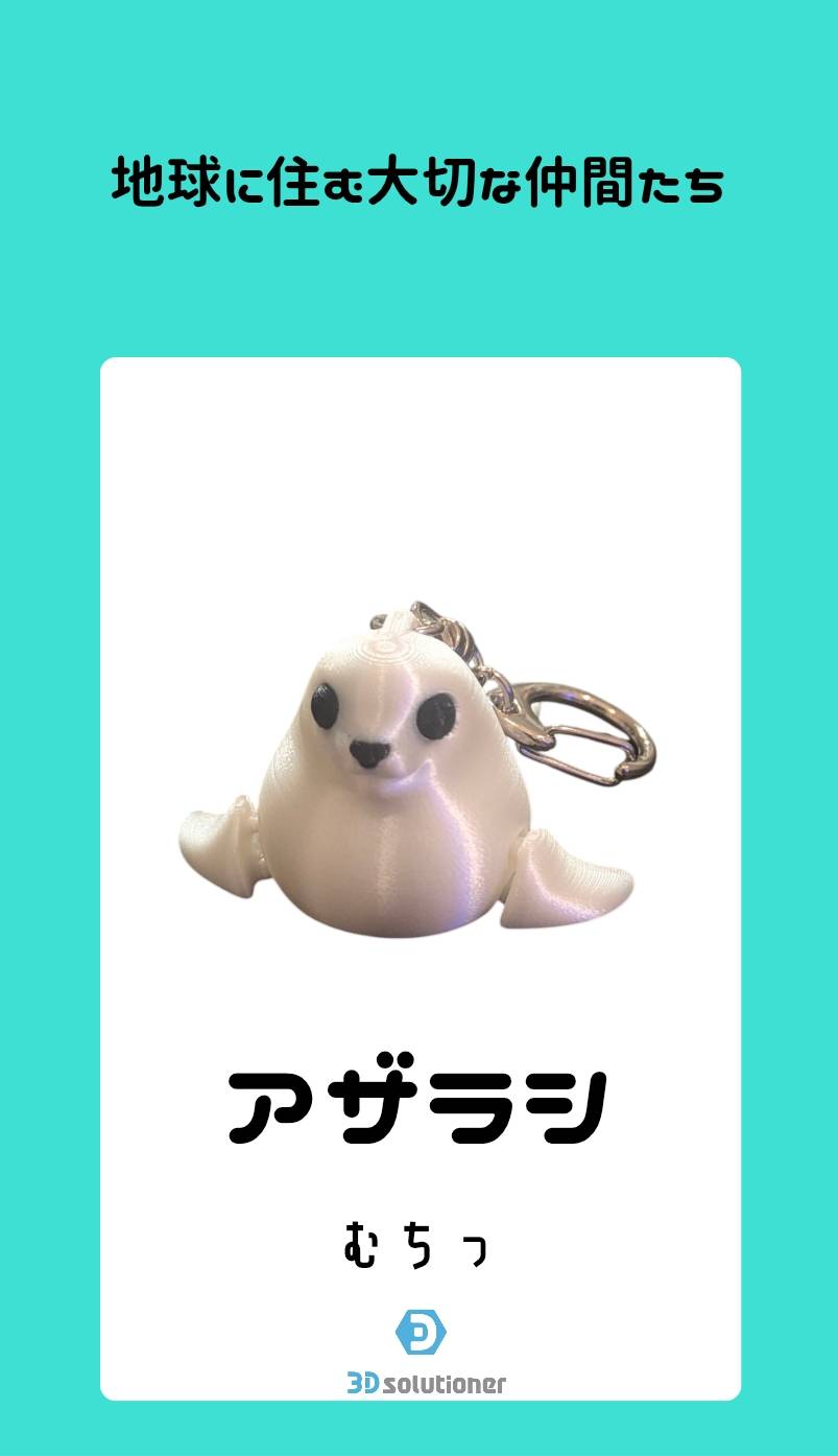 海に住む仲間たち