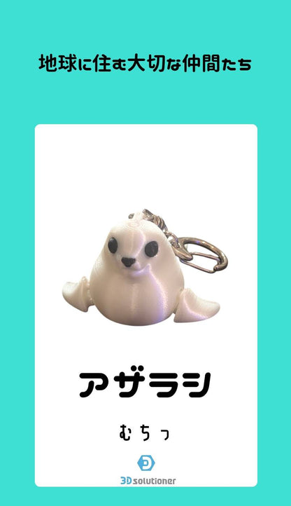 海に住む仲間たち