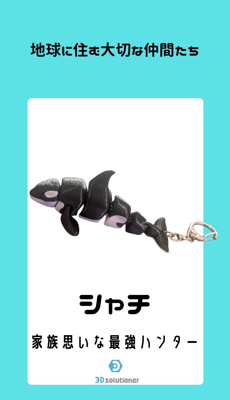 海に住む仲間たち