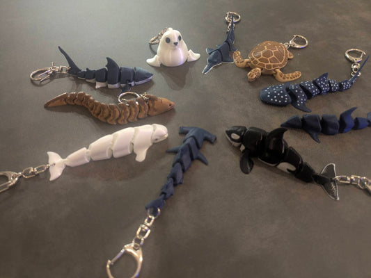 海に住む仲間たち